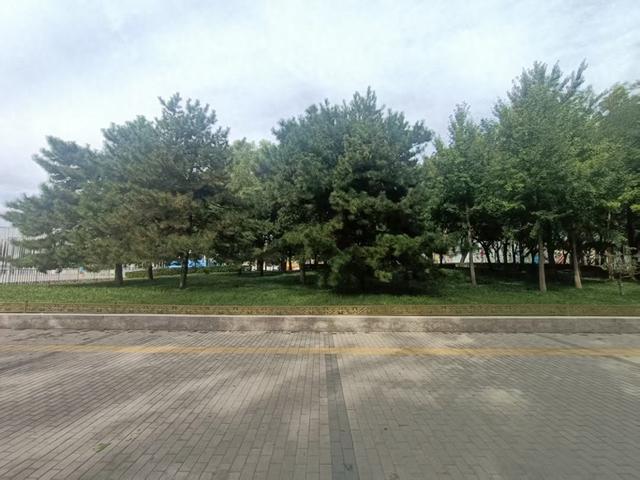 40分钟跑步系列之一