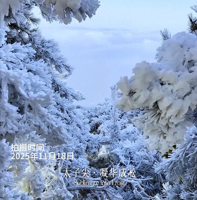 太子尖的第一场雾凇来了！接下来，杭州气温还会降……