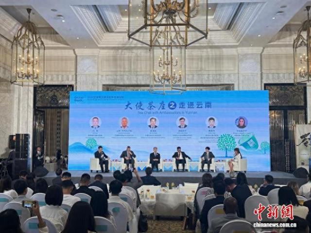 中外嘉宾昆明茶叙共商发展 探寻“全球南方”文明互鉴之路