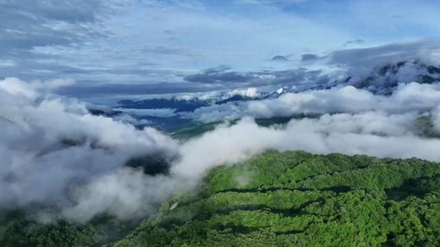 暑期经济多元业态观察：文旅融合激活消费新引擎