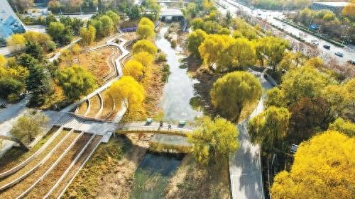 晴暖冬日好去处 腊山河公园彩林如画引客来