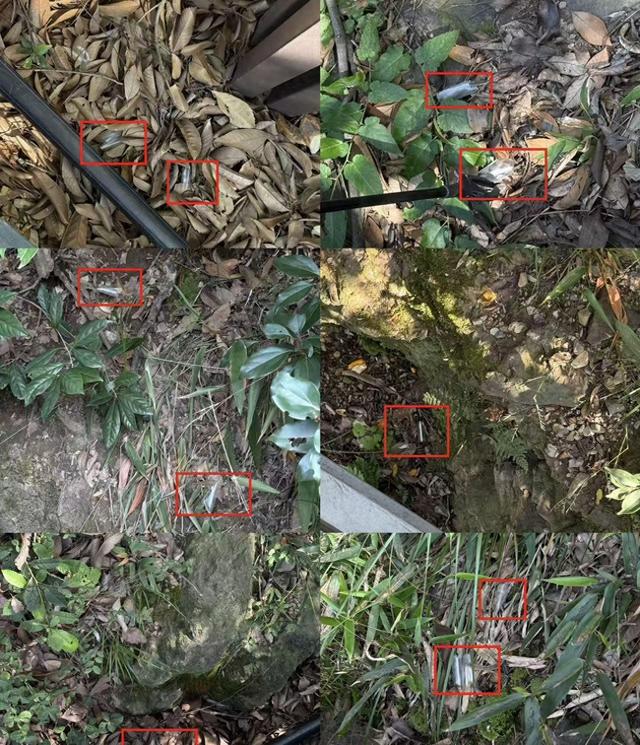 登山台阶的反光贴塑料薄膜直接扔山里？马家坞管理方：已完成清理