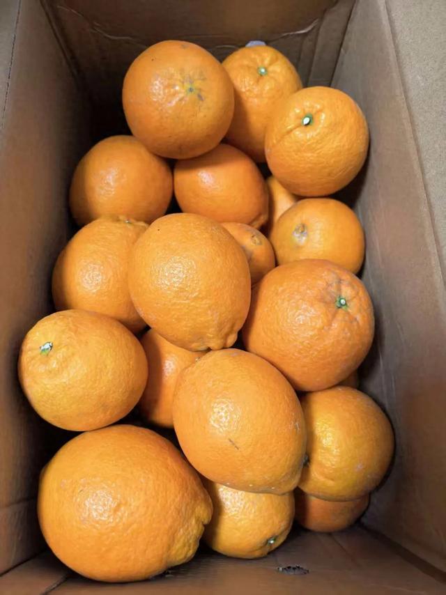 旅游的乐趣之一——结交更多的知己好友