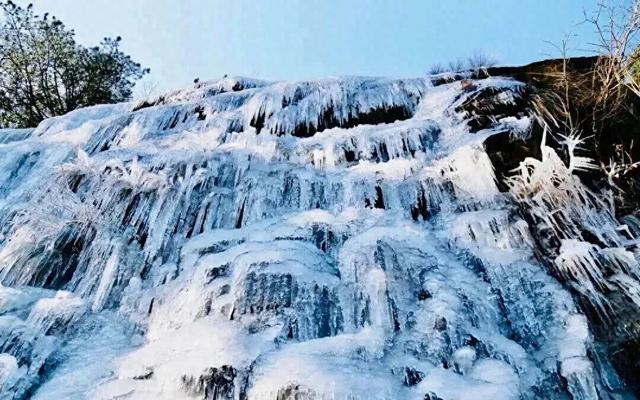 免票、半价！河南这些景区有优惠→