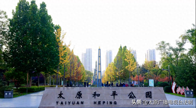 太原创森|赏“秋”正当时！来太原这个公园遇见最美秋日