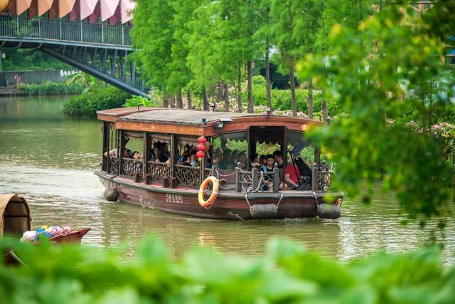 打造“无蚊景区”，古劳水乡年底前夜游免费入园