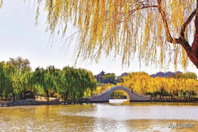 美在邯郸丨水韵鹅城 生态诗篇