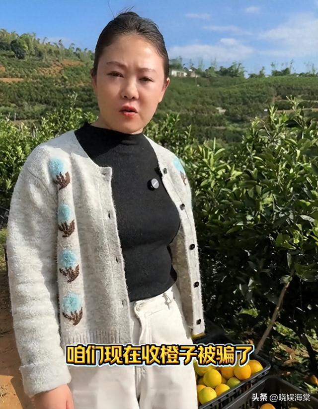 收冰糖橙被骗后续：坑人代办身份被扒，正面照曝光，官方通报来了