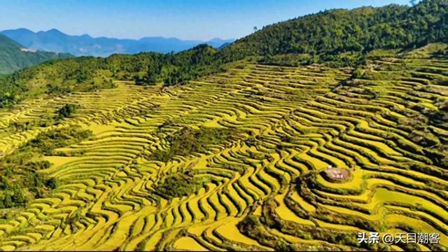 崇山峻岭间，英川镇凤凰寨梯田，以其千年积淀的农耕智慧静默矗立