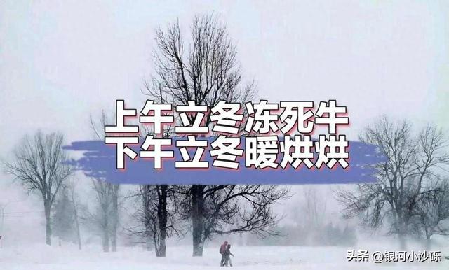 “上午立冬，冻死牛；下午立冬，暖烘烘”，2025年立冬是几点？