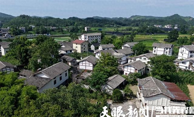 道真浣溪村凉资源变热经济｜游客说：“明年组团来避暑”