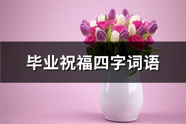 祝福大学毕业生的四句成语（毕业祝福四字词语优选49句）
