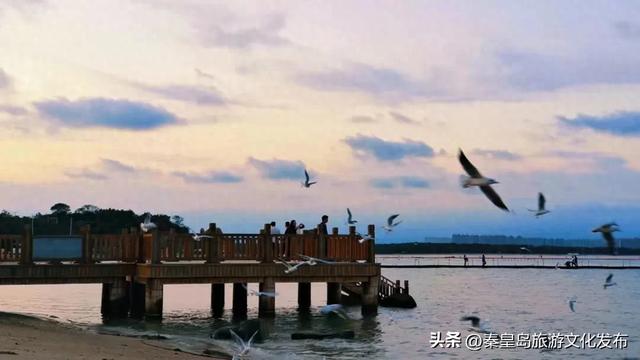 初冬，秦皇岛进入“高光时刻”！最美景致就藏在朋友圈里~