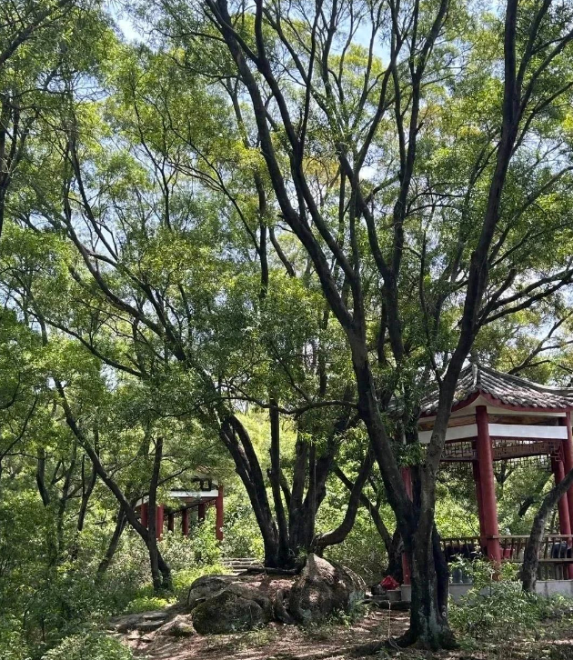 福州人偷偷私藏的“吸氧圣地”！福州人的绿野仙踪太治愈了！