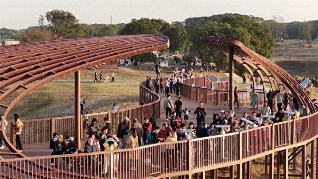 吴城候鸟小镇迎来观鸟潮 单日客流创新高