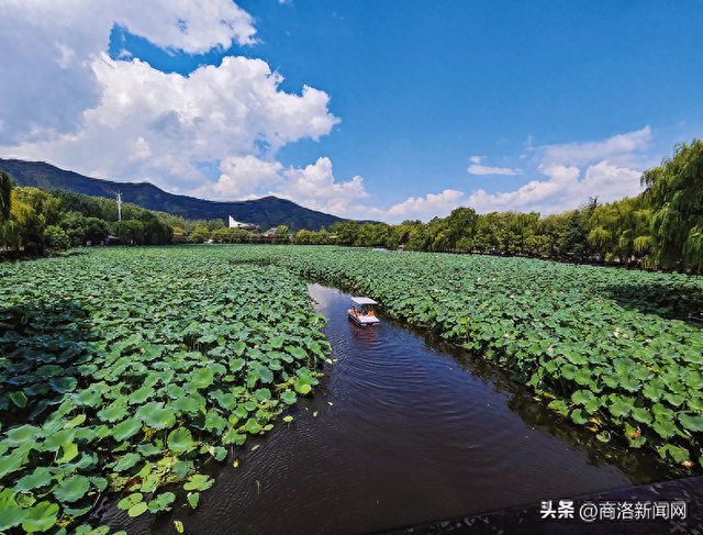 从好风景到好“钱”景——商洛深入探索生态产品价值实现机制