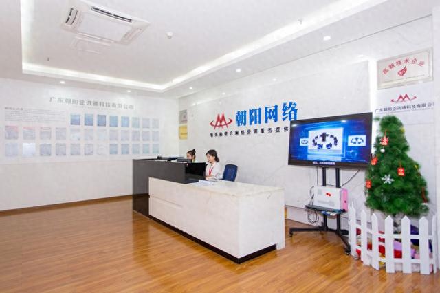 广东网站建设服务（2026年广东网站建设公司实力推荐官网策划网页设计多语言网站定制）