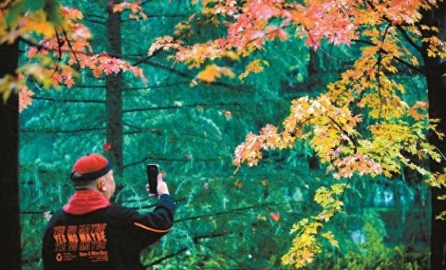 秋染长安色斑斓　霜落成诗醉流年