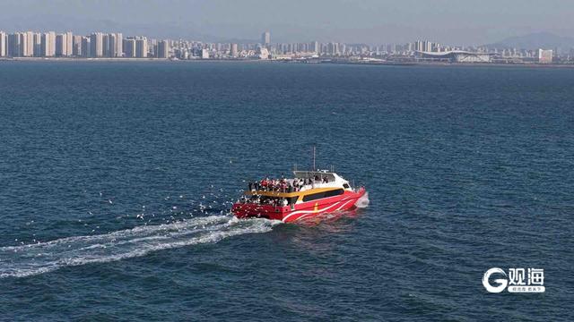 冬游消费热力十足，东大洋“海上穿越大桥”系列航线销售突破300万元