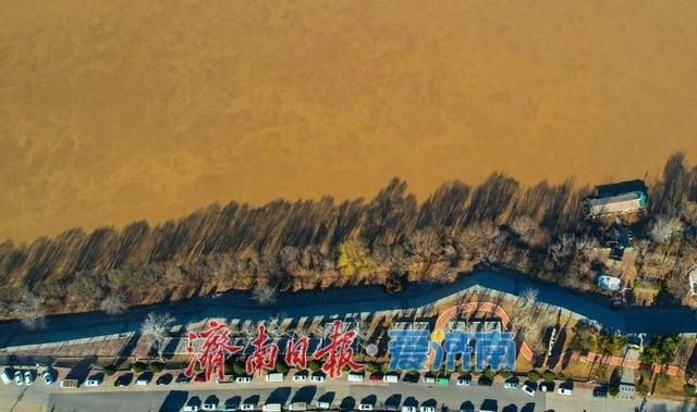 冬日黄河绘就雄浑生态画卷