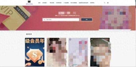 青海网站建设最新报价（开办网站获利近万元 青海网安破获一起非法利用信息网络案）