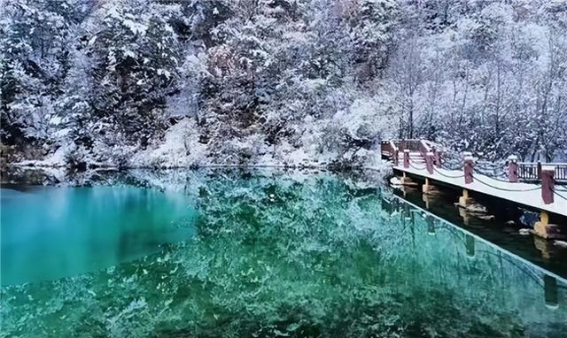 【联动宣传】冬游陇南，邂逅冬日双重奏