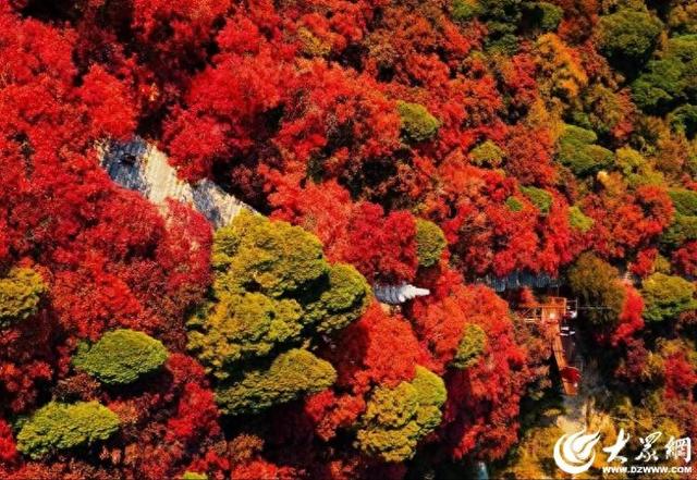 霜降至！中国五大红叶观赏地石门坊迎“全红时刻”