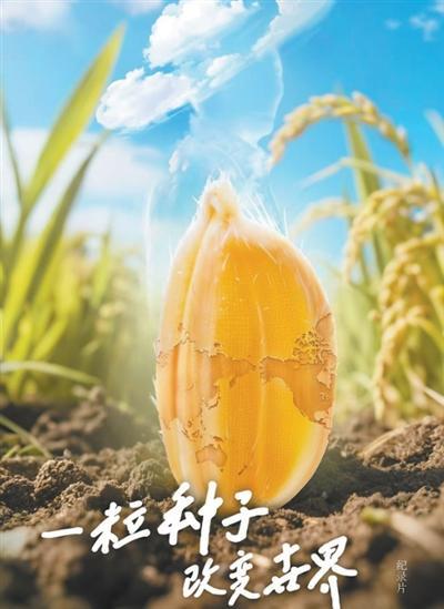 袁隆平的主要事迹内容简介（袁隆平和一粒种子有怎样的传奇故事这部纪录片里寻找答案）