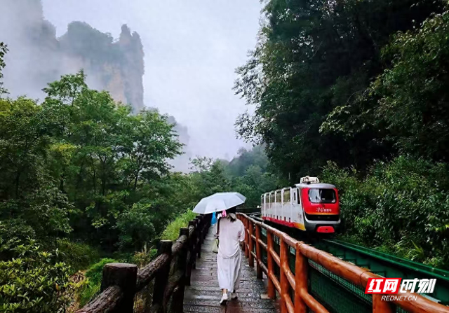 张家界国家森林公园雨后奇景：水墨丹青画中游