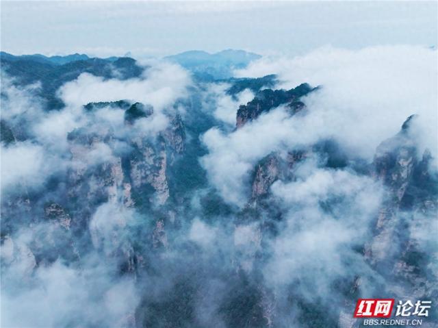 【每日一图@湖南】在杨家界的秋日云海里，遇见最灵动的中国画