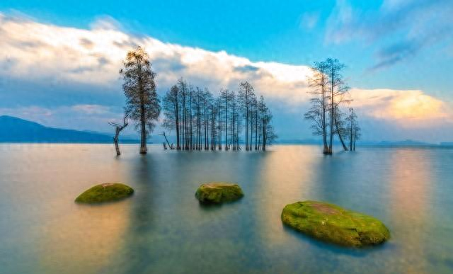 心理学发现：越孝顺的子女，父母反而越偏心？原因很现实。