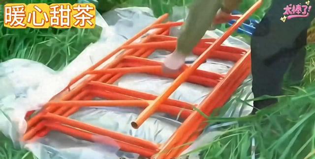 梦幻森林房子逃脱（隐居森林男子自建梦幻树屋全记录）