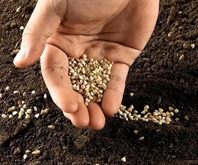 央媒通报！又一间谍行为曝光，作案手法阴险，粮食安全受威胁