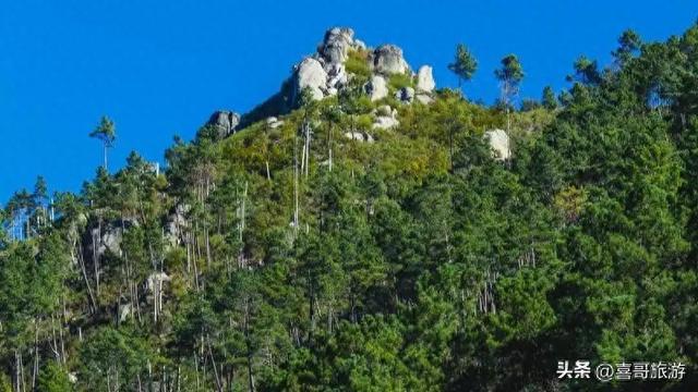探秘龙江之巅：凤凰山国家森林公园纪行