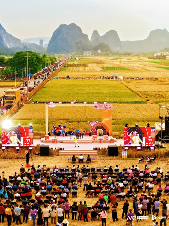 稻田蹦迪，草垛听歌！阳春这场乡野派对吸引四万余人次来打卡