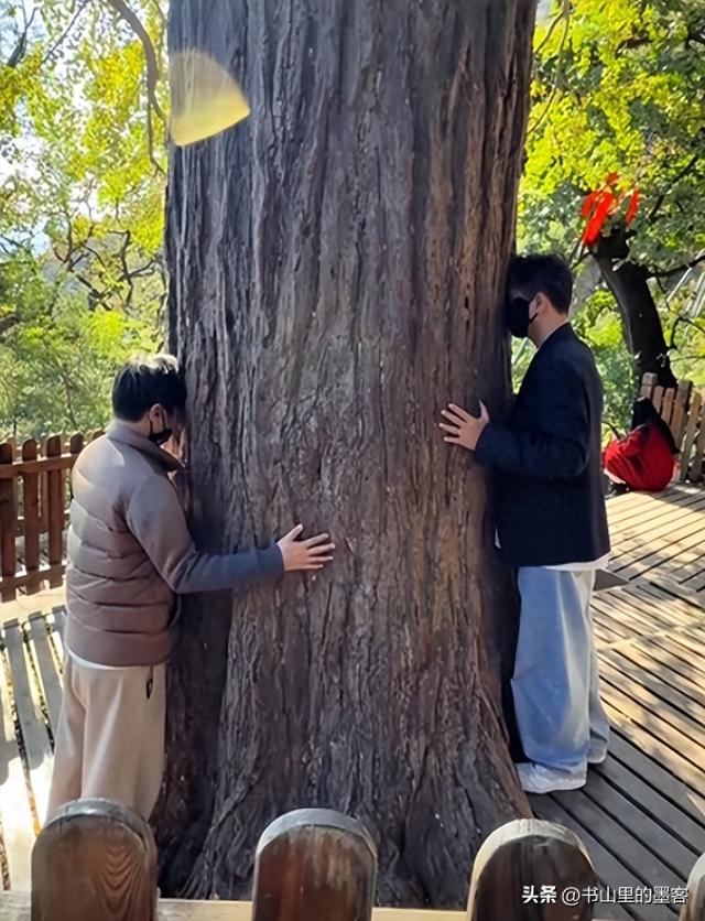 朱媛媛离世5个月，辛柏青寺庙露面，女儿扶着下楼，李乃文也在