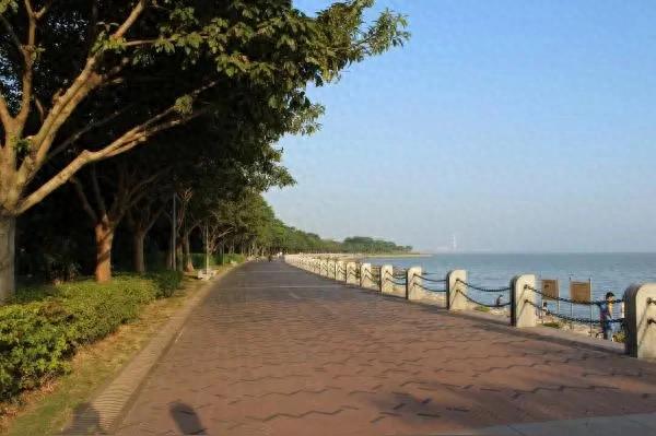 深圳湾畔再添新景
