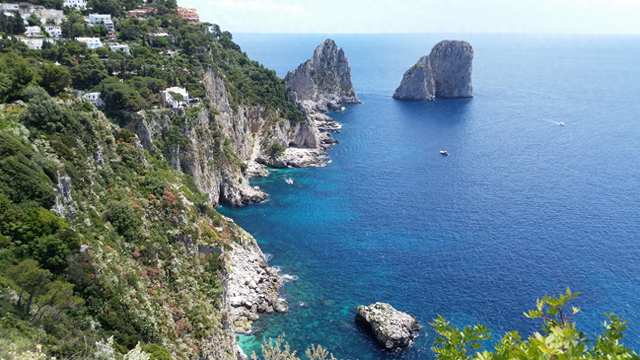 远古生命印记：地中海深处惊现大型“白色珊瑚	”礁