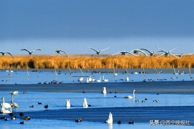 “四地”建设谱写格尔木高原发展新篇章