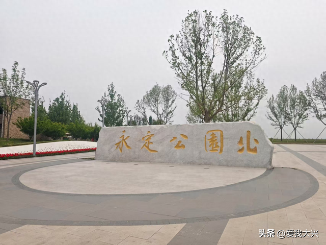 【大兴出游】从水库滩涂到城市绿肺，大兴永定公园真美！