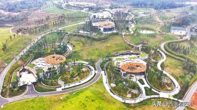 萌宝天团强势来袭：绵阳熊猫基地明日试运营 票价亲民多类人群免票