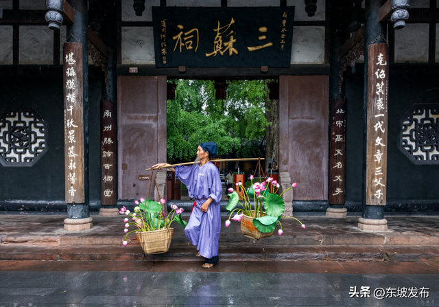 东坡家的荷花开了！眉山“荷你有约”点燃夏日文旅热