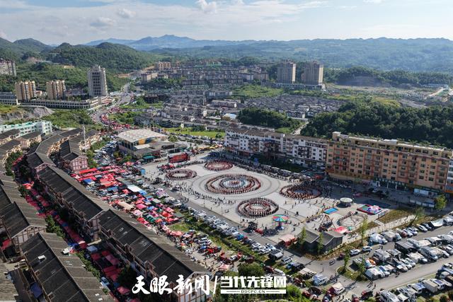 从“世界花海”到“避暑胜地”｜百里杜鹃“花期外” 凭“凉”出圈