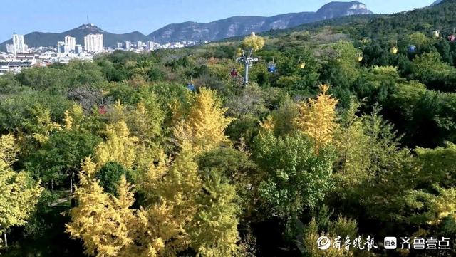 邂逅浪漫秋光，济南市多家公园景区秋色已备好
