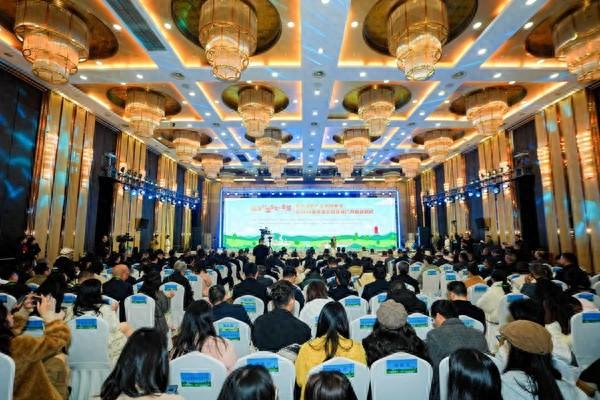 北碚：＂温泉＋＂赋能 书写文旅高质量发展新篇章