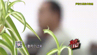 天天富翁单机破解版（14岁女儿心脏病去世老父亲被车撞夫妻俩四处骗得1000多万元）