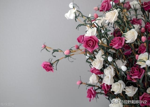 不同颜色的玫瑰花语（玫瑰颜色选错表错情9种颜色花语全解析）