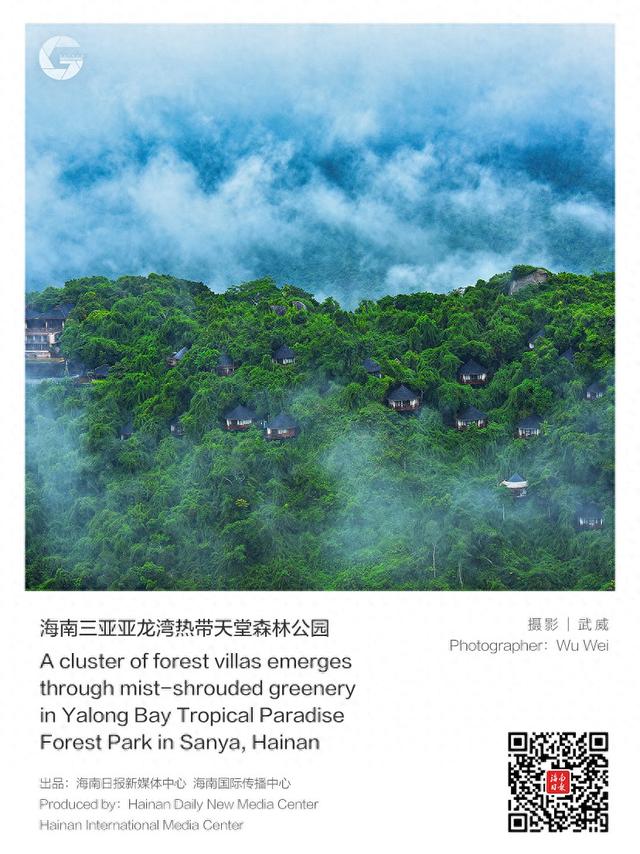 这样的海南，太让人心动！