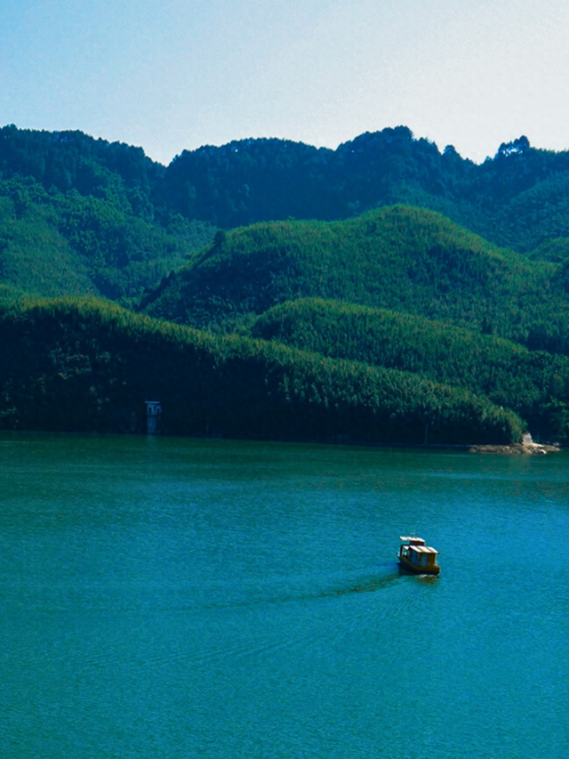 请大数据把这篇推给还没去百里竹海避暑的人！