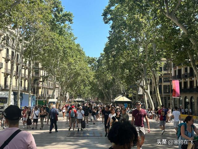 西葡游（五）兰布拉和日出